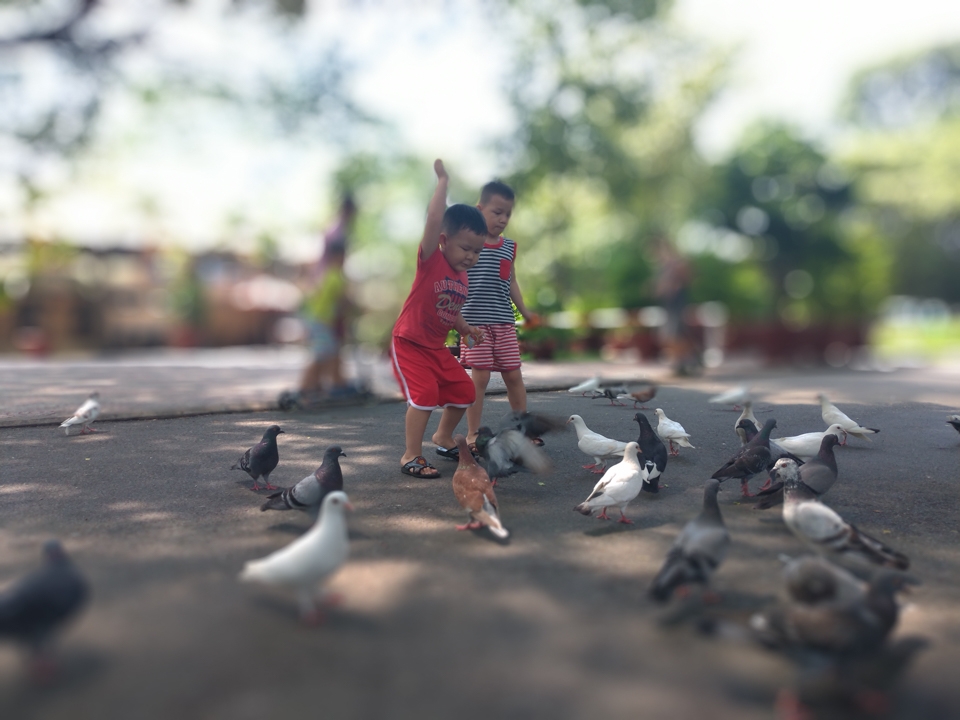 Đánh giá camera Zenfone 5 14 Đánh giá camera Zenfone 5 14