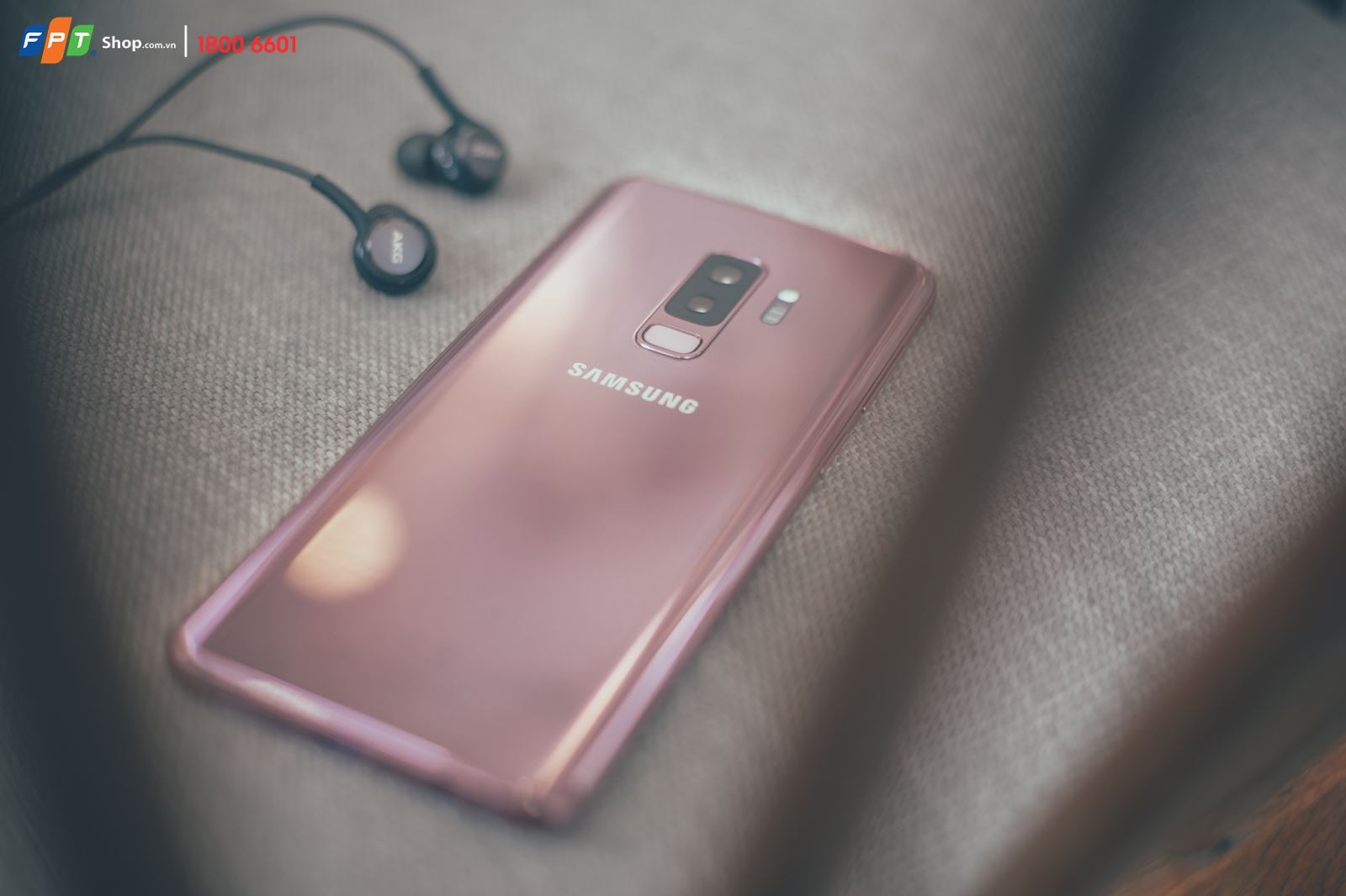 S9/S9+