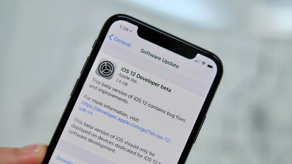 Bạn đã có thế tắt tự động cập nhật hệ điều hành trên iOS 12 (Ảnh 1)