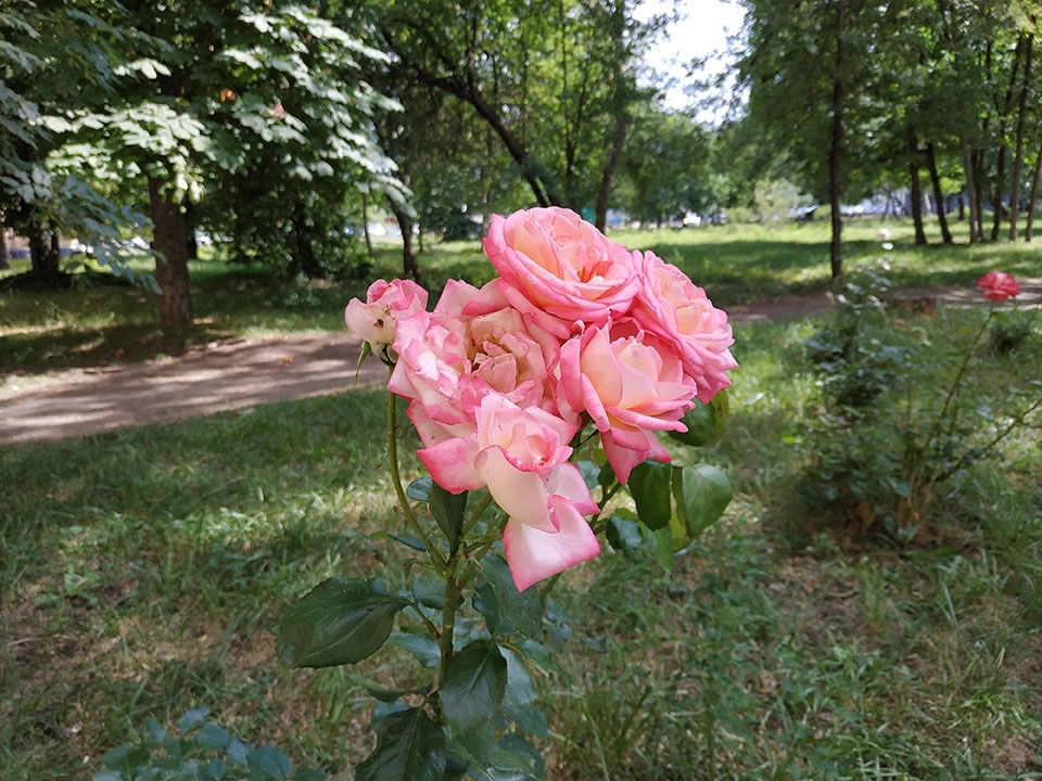 Trải nghiệm camera Xiaomi Redmi Note 5 Trải nghiệm camera Xiaomi Redmi Note 5