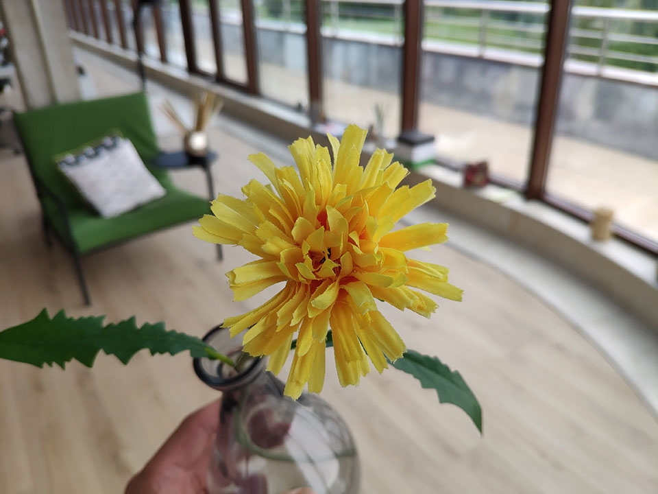 Trải nghiệm camera Xiaomi Mi 8