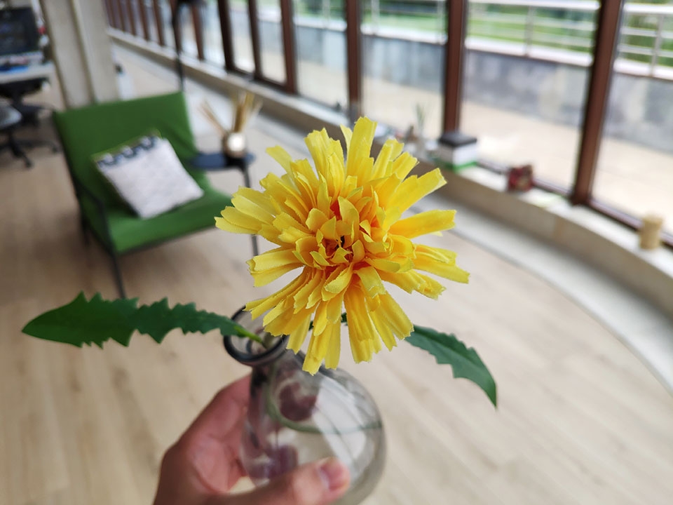 Trải nghiệm camera Xiaomi Mi 8