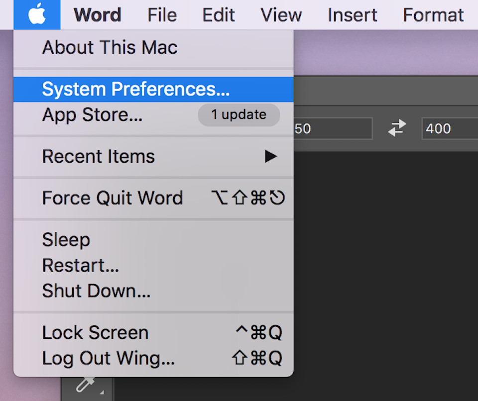Cách xem và ngừng cấp quyền truy cập thông tin trên máy tính Mac Nhấn chọn System Preferences.