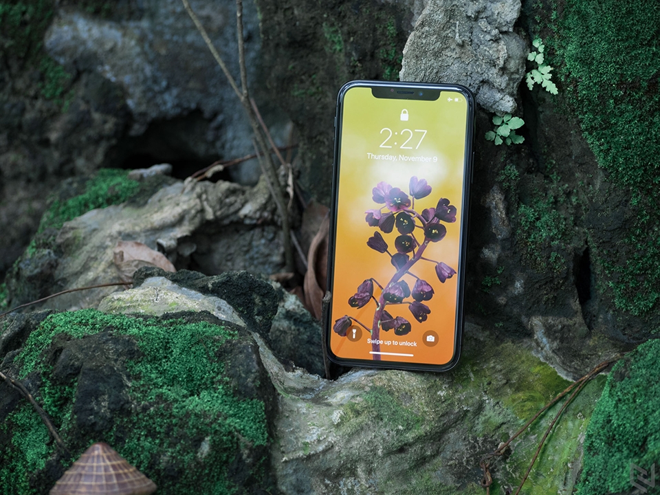 iPhone LCD 6.1 inch