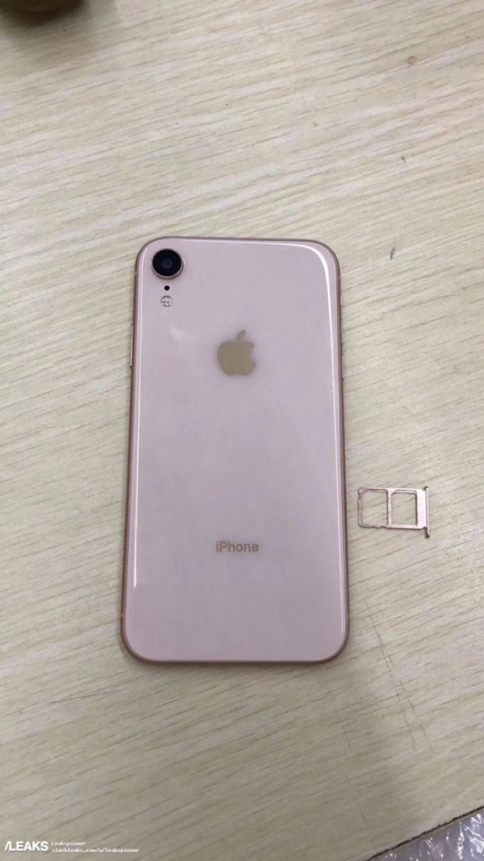 iPhone 6.1 inch (ảnh 2) iPhone 6.1 inch (ảnh 2)