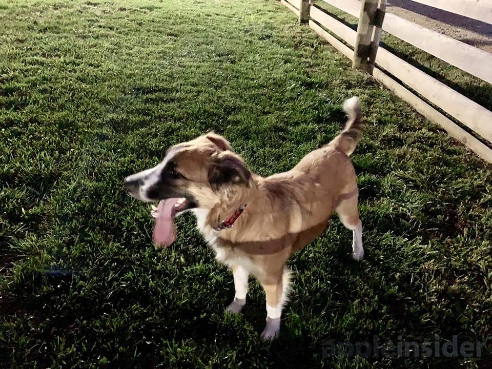 Đánh giá iPhone XS Max (ảnh 11)