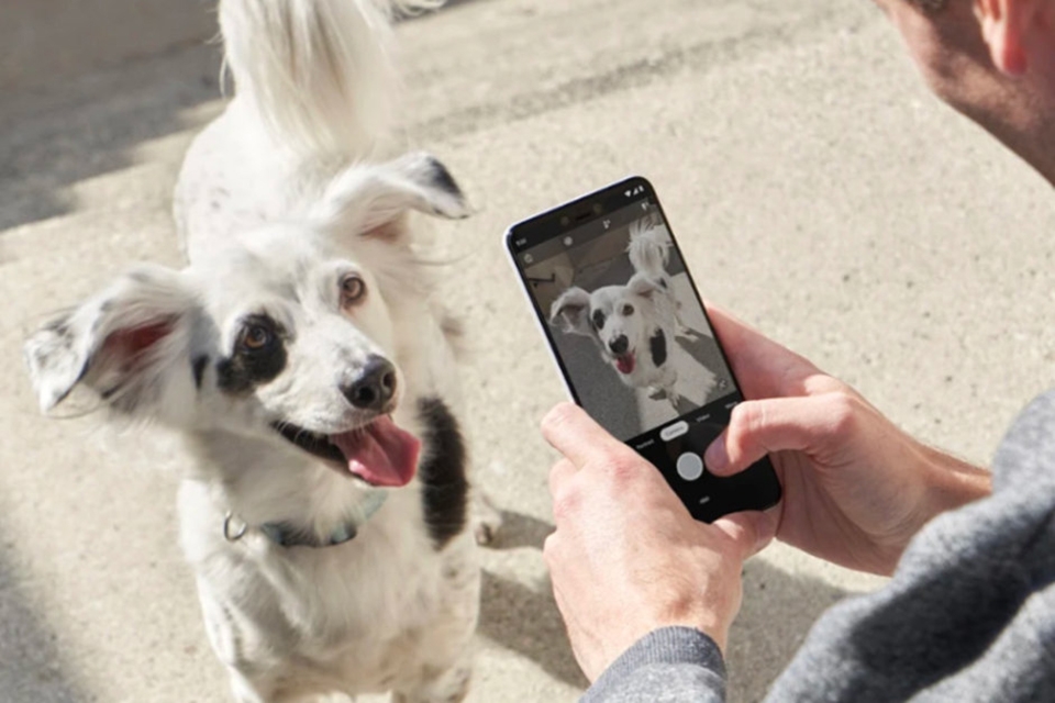 Camera Google Pixel 3 có chất lượng vượt trội iPhone XS (ảnh 1)