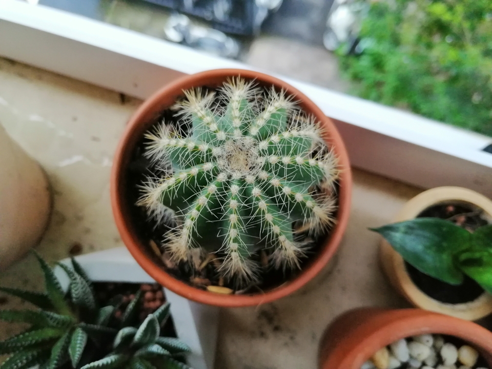 Đánh giá camera Honor 8X 20 Đánh giá camera Honor 8X 20