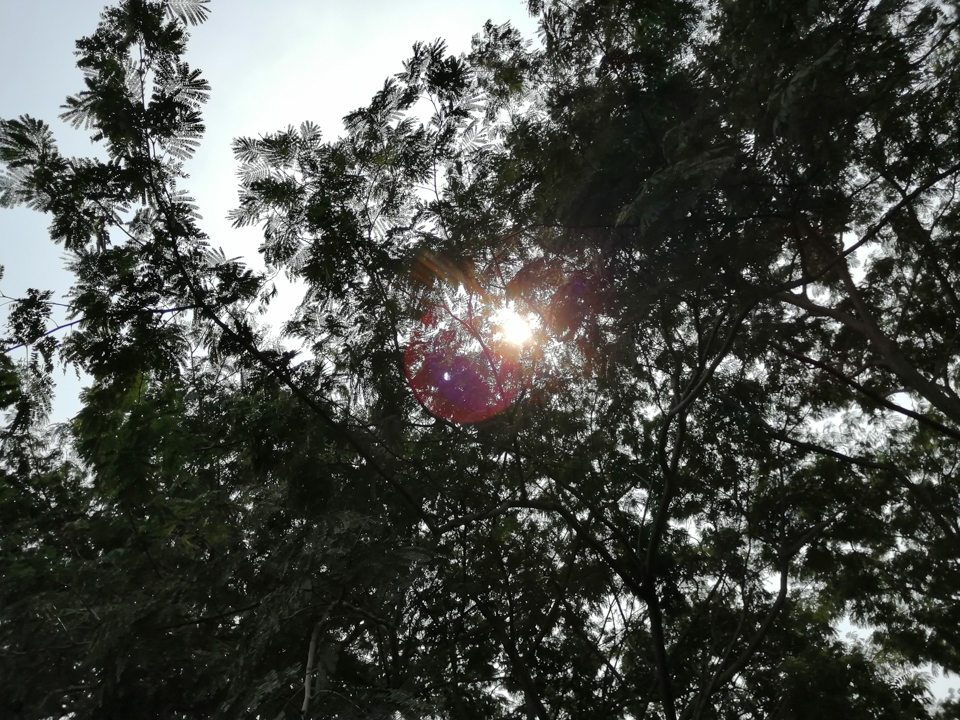 Đánh giá camera Honor 8X 11 Đánh giá camera Honor 8X 11