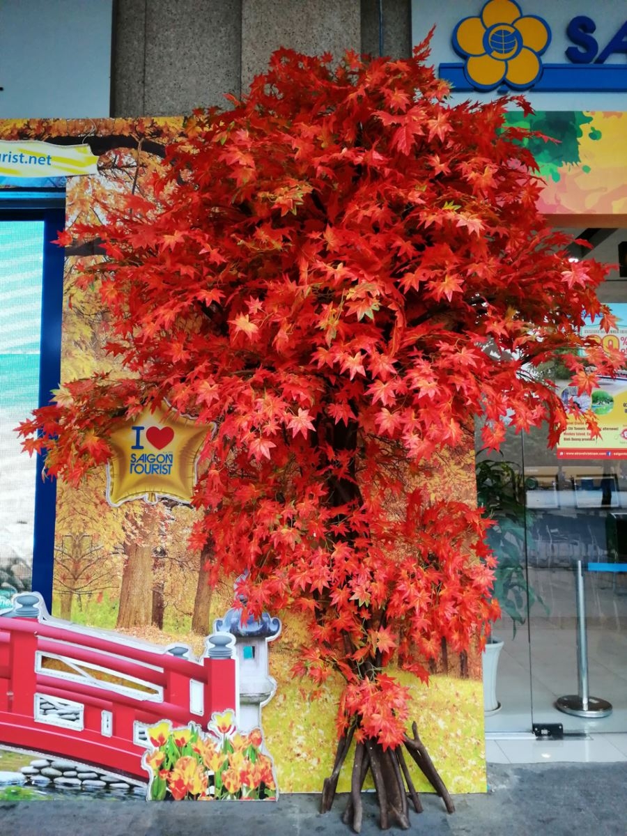 Đánh giá camera Honor 8X 08 Đánh giá camera Honor 8X 08