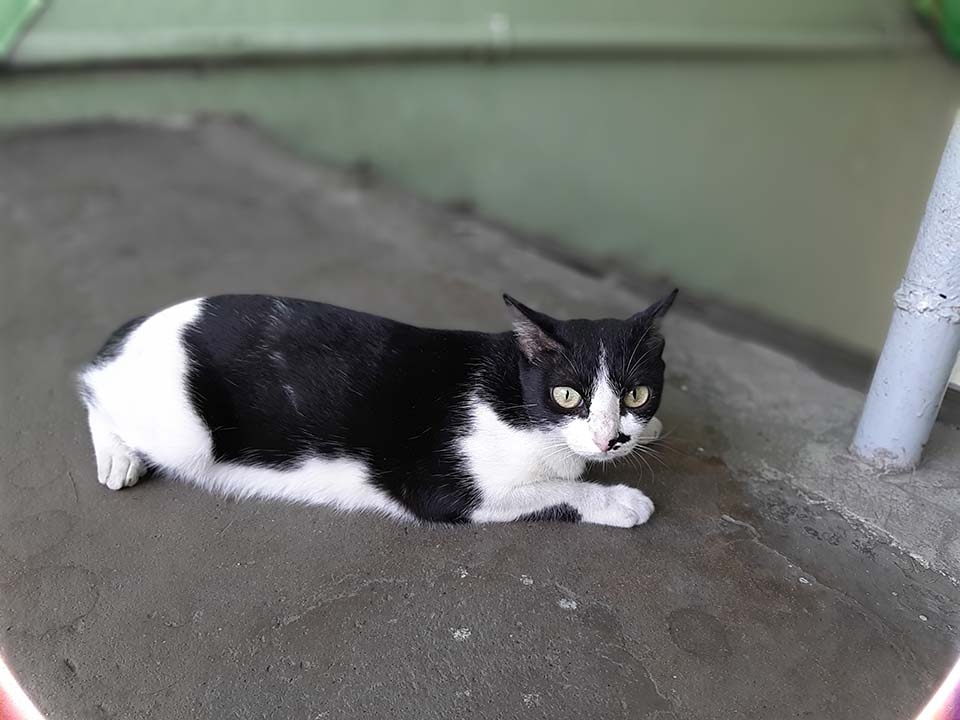 Đánh giá camera Galaxy A7 2018 (ảnh 11) Đánh giá camera Galaxy A7 2018 (ảnh 11)