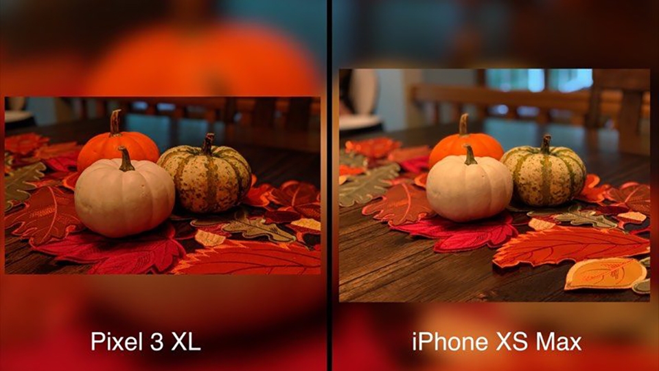 So sánh camera Google Pixel 3 XL và iPhone XS Max (ảnh 3)