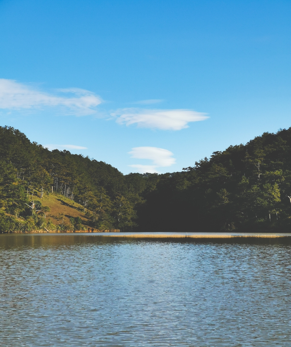 Khám phá Đà Lạt qua ống kính Huawei Mate 20 Pro 11 Khám phá Đà Lạt qua ống kính Huawei Mate 20 Pro 11