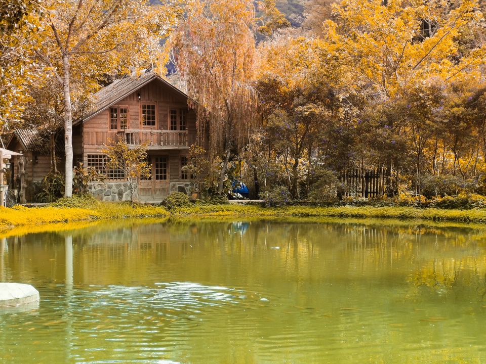 Khám phá Đà Lạt qua ống kính Huawei Mate 20 Pro 13 Khám phá Đà Lạt qua ống kính Huawei Mate 20 Pro 13