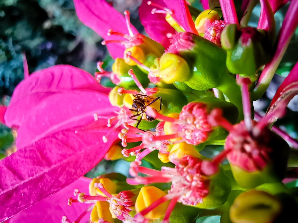 Camera Huawei Mate 20 Pro 01 Camera Huawei Mate 20 Pro 01