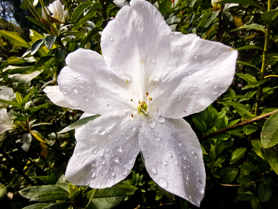 Camera Huawei Mate 20 Pro 02 Camera Huawei Mate 20 Pro 02