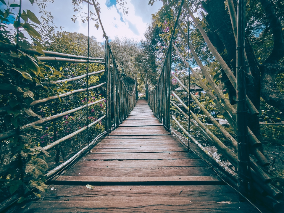 Khám phá Đà Lạt qua ống kính Huawei Mate 20 Pro 16 Khám phá Đà Lạt qua ống kính Huawei Mate 20 Pro 16