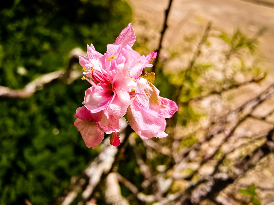 Camera Huawei Mate 20 Pro 03 Camera Huawei Mate 20 Pro 03