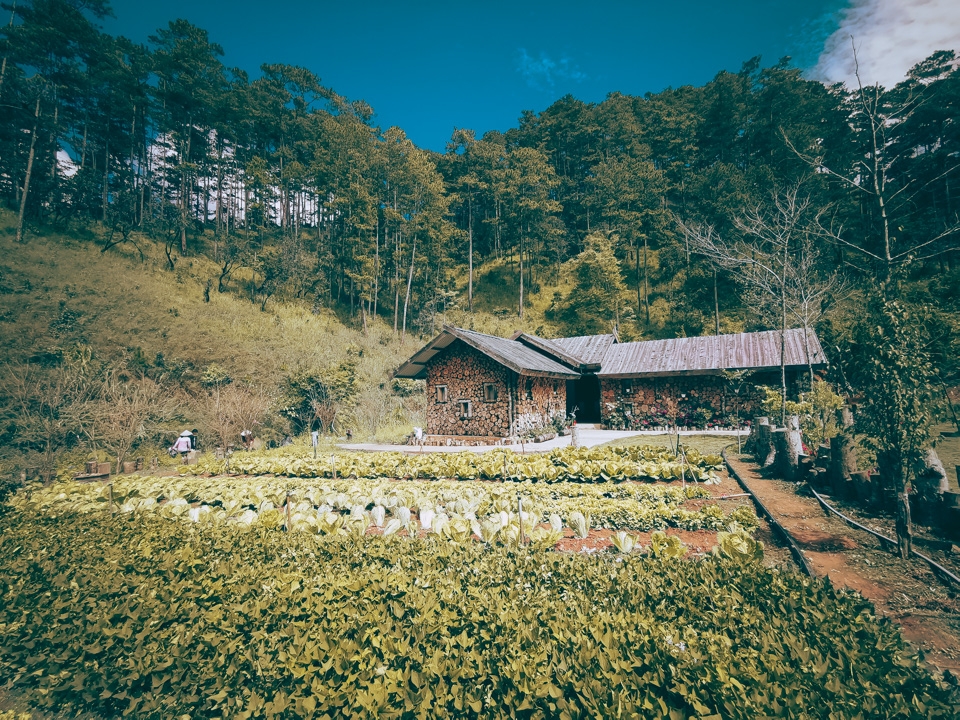 Khám phá Đà Lạt qua ống kính Huawei Mate 20 Pro 23 Khám phá Đà Lạt qua ống kính Huawei Mate 20 Pro 23