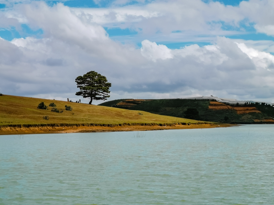 Khám phá Đà Lạt qua ống kính Huawei Mate 20 Pro 24 Khám phá Đà Lạt qua ống kính Huawei Mate 20 Pro 24