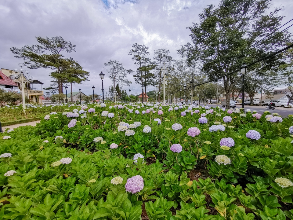 Camera Huawei Mate 20 Pro 04 Camera Huawei Mate 20 Pro 04