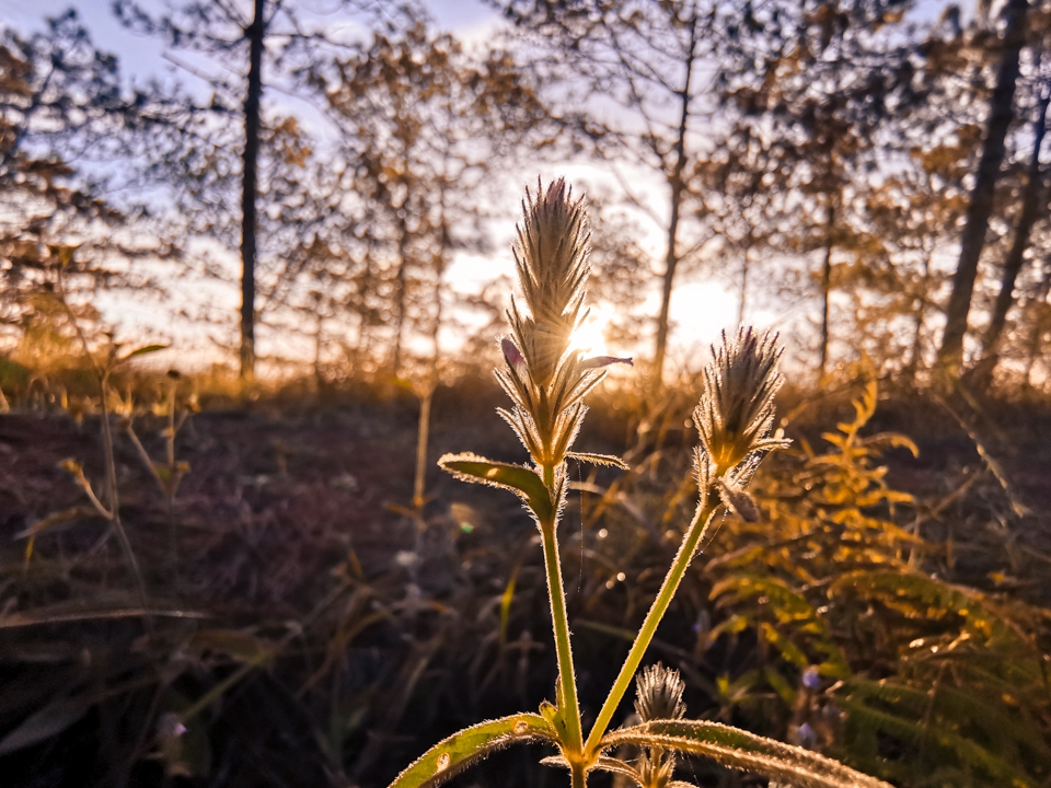 Camera Huawei Mate 20 Pro 5 Camera Huawei Mate 20 Pro 5