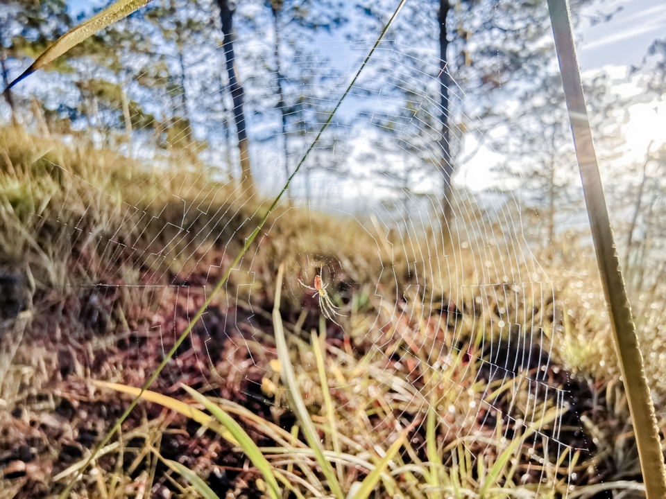 Camera Huawei Mate 20 Pro 06 Camera Huawei Mate 20 Pro 06