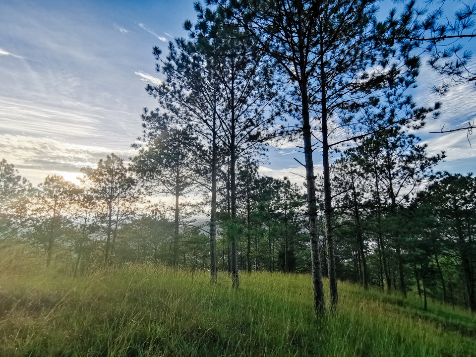 Khám phá Đà Lạt qua ống kính Huawei Mate 20 Pro 31 Khám phá Đà Lạt qua ống kính Huawei Mate 20 Pro 31