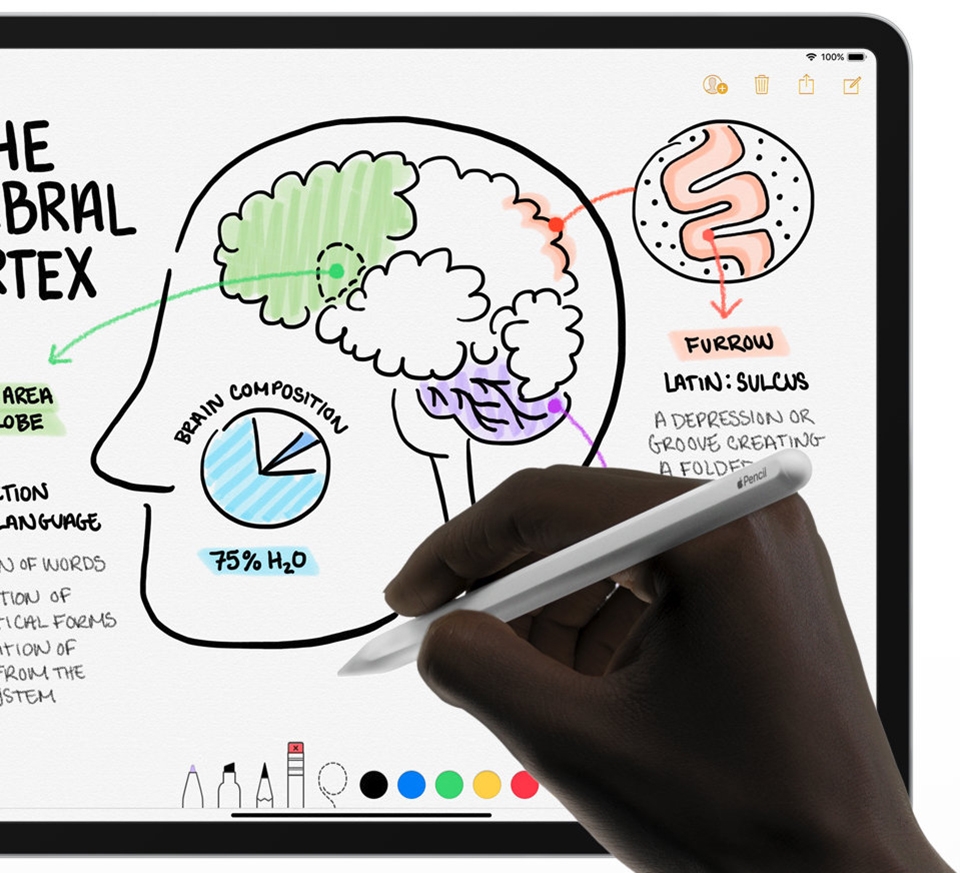 Mọi thông tin bạn cần biết về iPad Pro 2018 (ảnh 7)