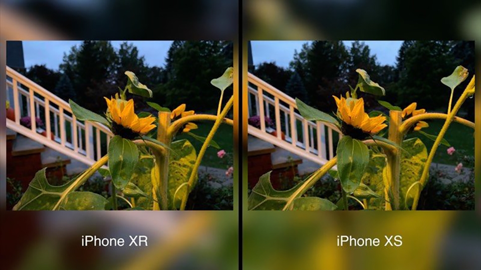 So sánh camera iPhone XR và iPhone XS (ảnh 6) So sánh camera iPhone XR và iPhone XS (ảnh 6)