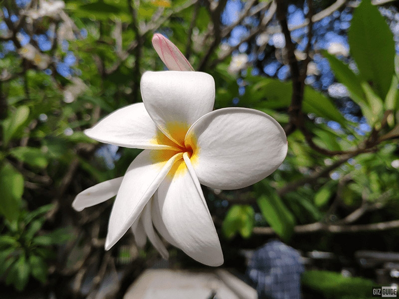 Đánh giá nhanh ảnh chụp từ Xiaomi Mi MIX 3 (ảnh 5) Đánh giá nhanh ảnh chụp từ Xiaomi Mi MIX 3 (ảnh 5)