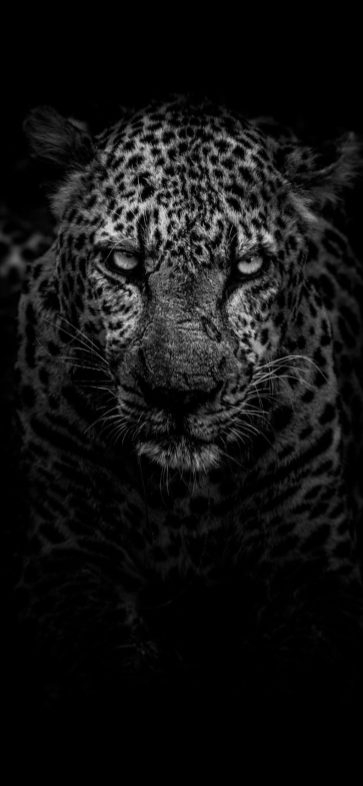Tải miễn phí bộ ảnh nền Dark Wallpapers cho iPhone XS và iPhone XS Max