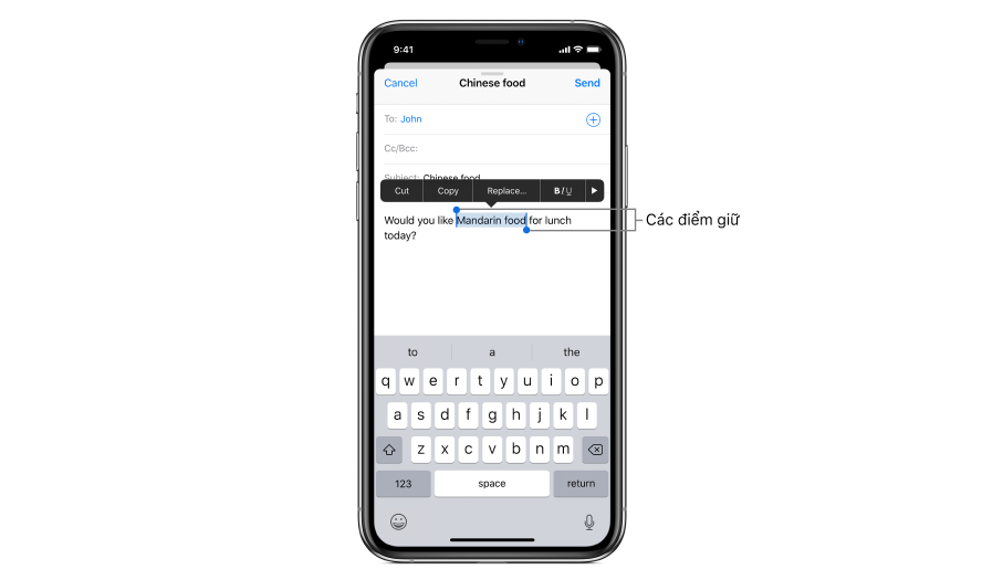 Nhập và chỉnh sửa văn bản trên iPhone (ảnh 3)