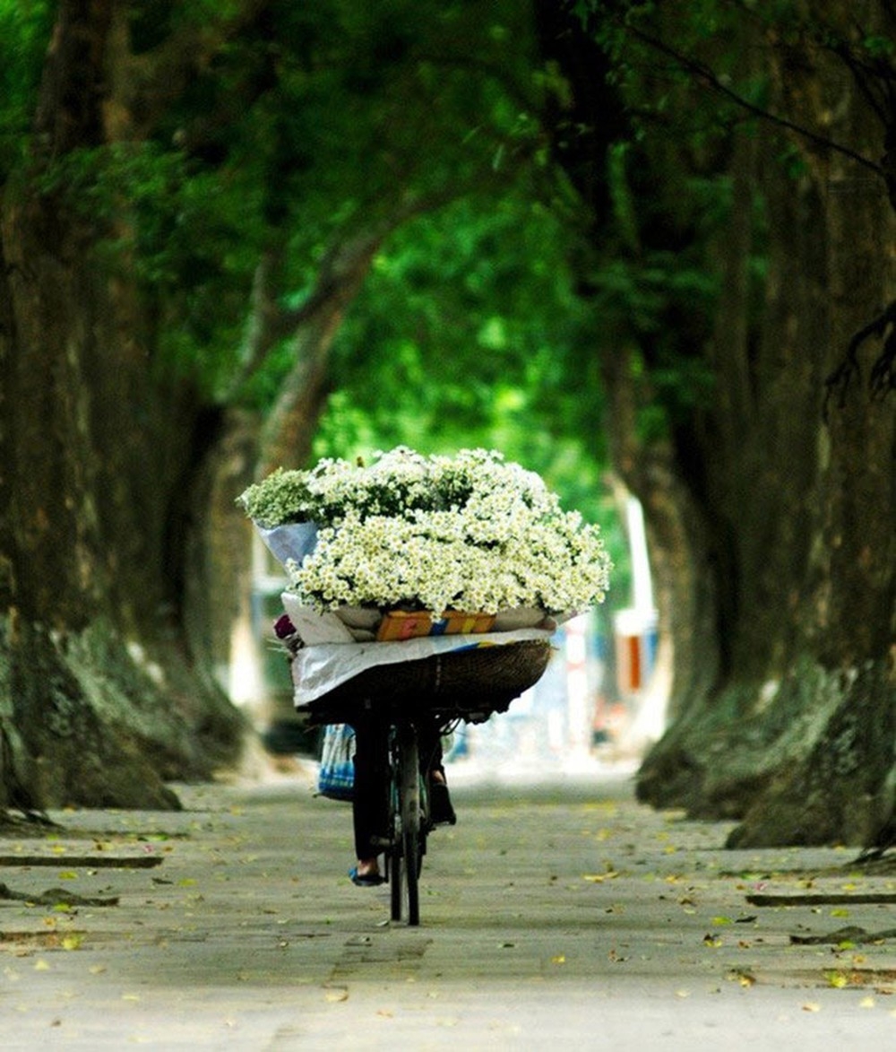 Phototrip Hà Nội 08 Phototrip Hà Nội 08