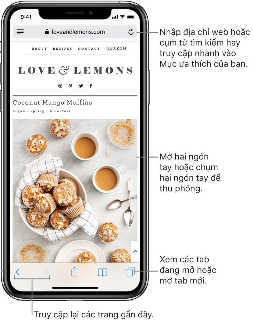 Duyệt web bằng Safari trên iPhone
