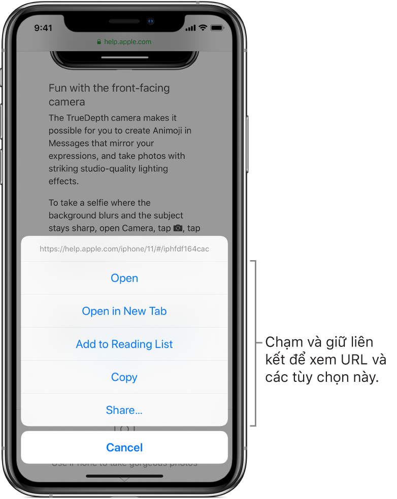 Duyệt web bằng Safari trên iPhone