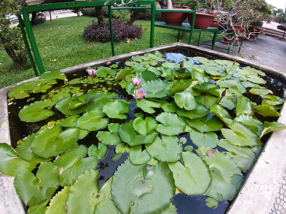 Samsung Galaxy A9 camera 17
