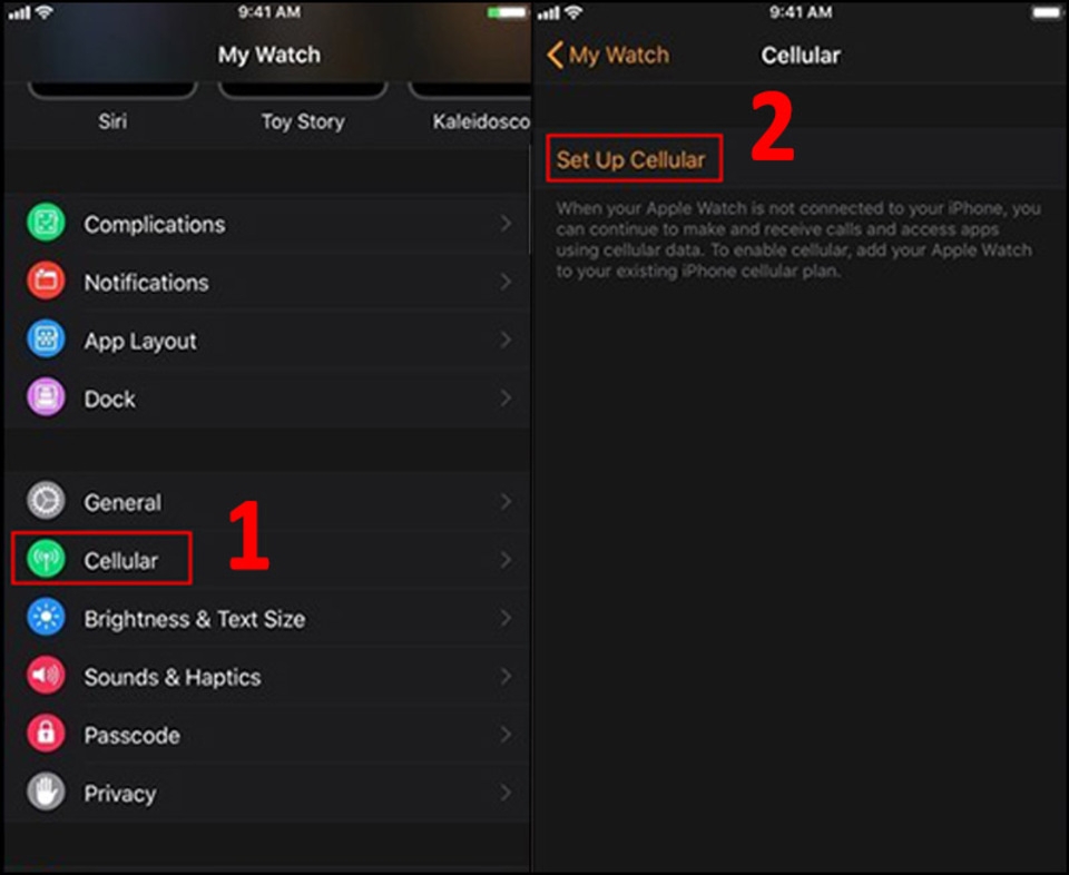 Cài đặt eSIM trên Apple Watch
