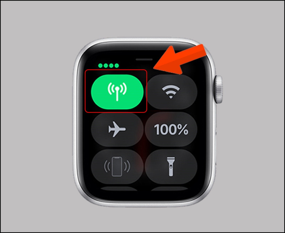 Màn hình Apple Watch hiển thị cài đặt thành công eSIM
