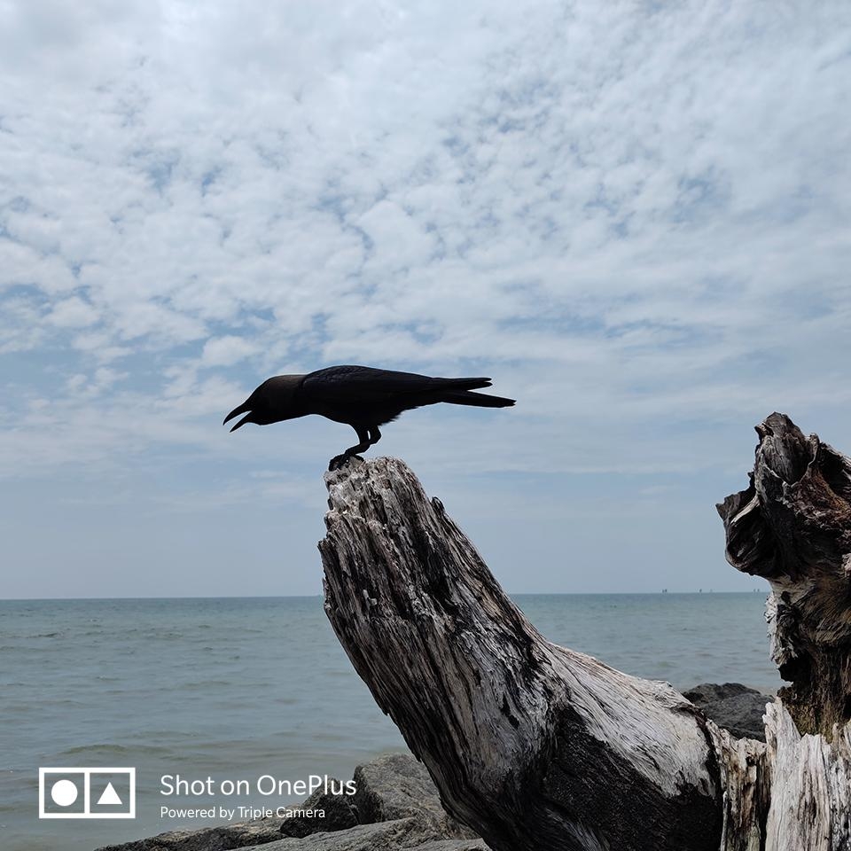 OnePlus 7 Pro camera 03