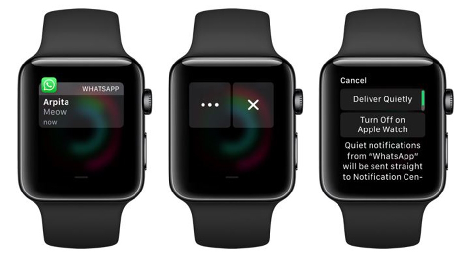 Quản lý tính năng hay Apple Watch
