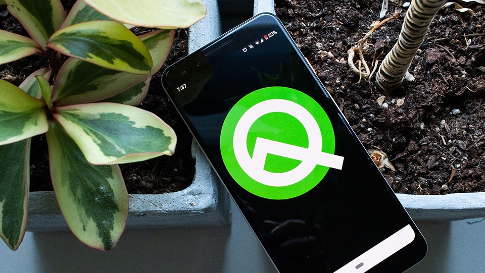Android Q Android Q