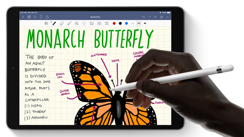 iPad Air 3 02