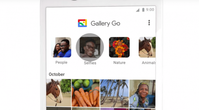 Gallery Photo