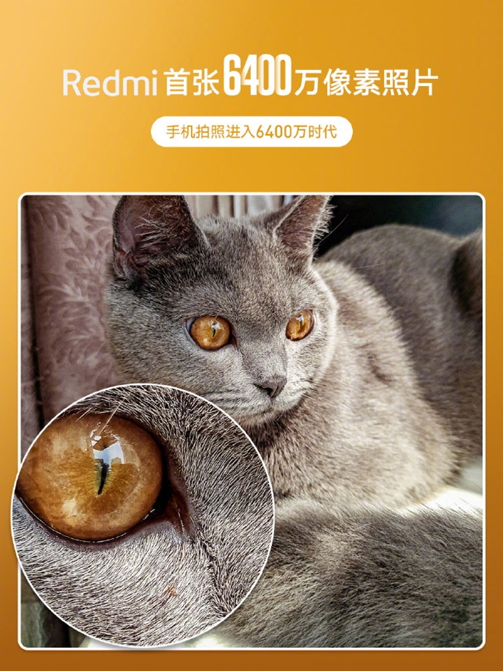 Thông tin Redmi Note 8