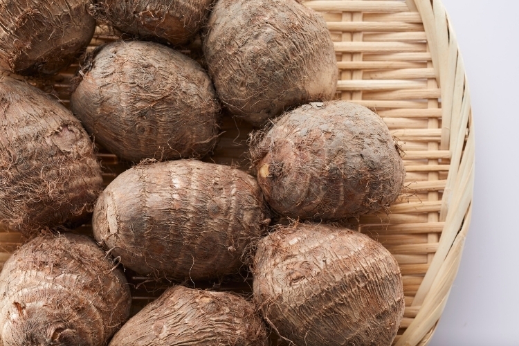 Vịt om sấu khoai sọ (3)