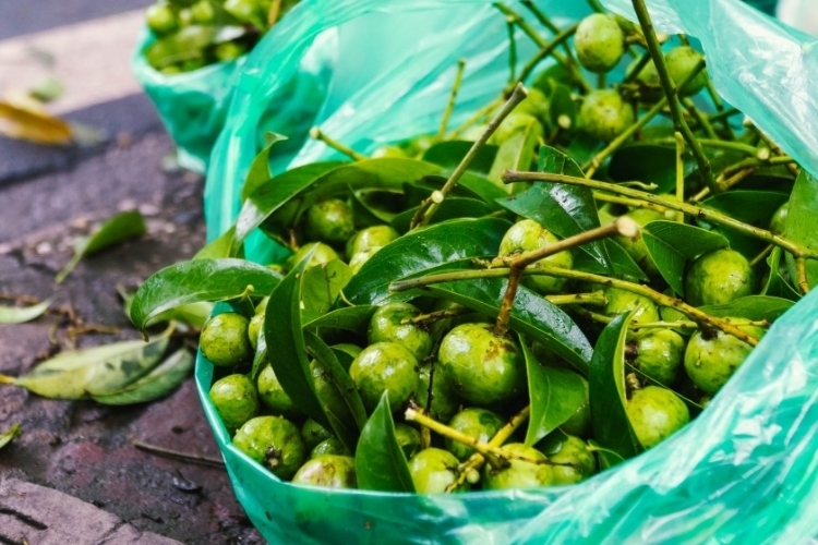 Vịt om sấu khoai sọ (4)