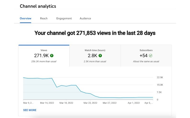 YouTube Analytics hình 2