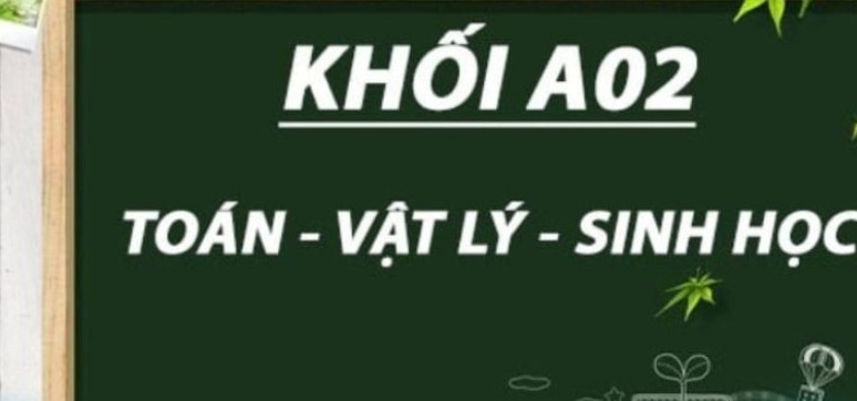 A02 là khối gì 8