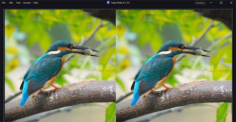 AI tăng chất lượng ảnh hình 1